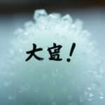 盆栽を売りたい！成功するためのポイントと販売方法ガイド