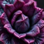 菊池園芸：美しい庭を作るための完全ガイド