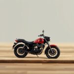 初心者のための盆栽入門: 基礎知識と育て方ガイド