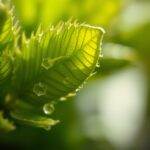 「湯浅園芸：美しい庭を作るための専門ガイド」